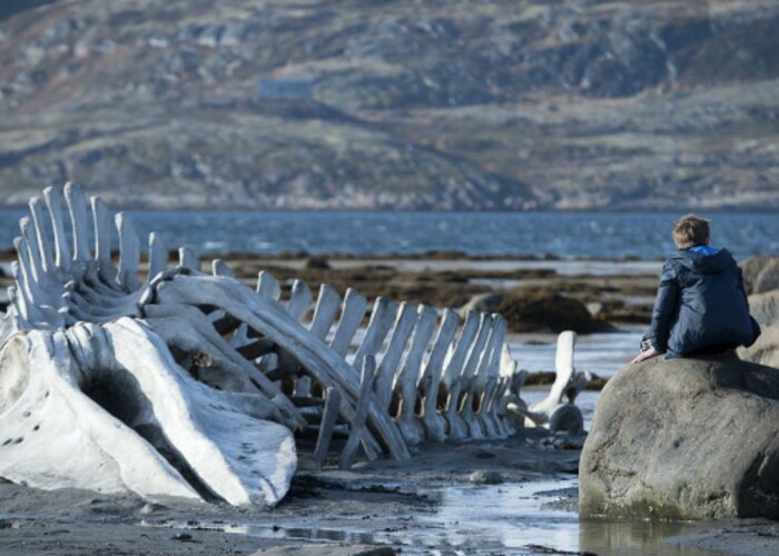 Leviathan” – filmul anului in Rusia, nominalizat la Oscar, din 13 martie in cinematografe! VIDEO