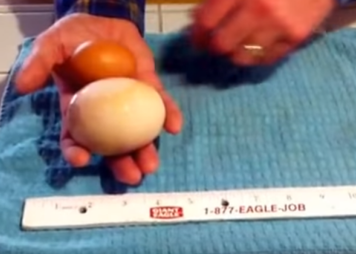 A vrut sa-si faca o omleta, dar a avut parte de o descoperire bizara. Ce a descoperit atunci cand a spart oul: EGG-ception