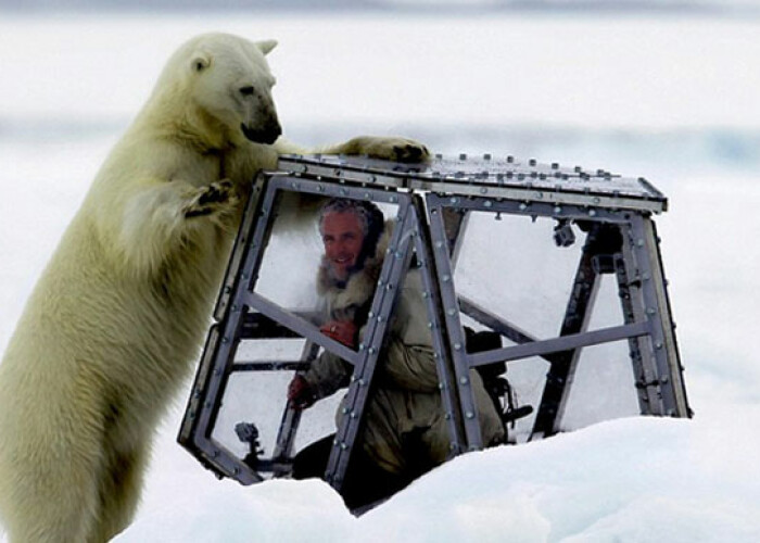 S-a pus in pielea pradei: Un cameraman a vrut sa afle cum este sa fii devorat de un urs polar. A filmat scene incredibile! VIDEO