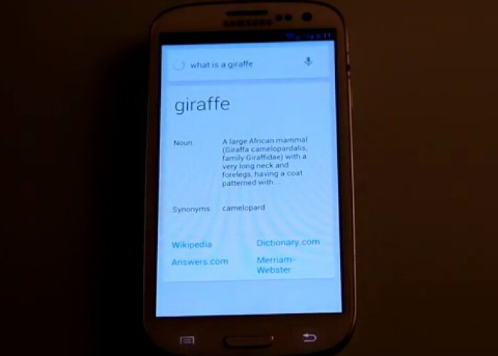Virusul Google care a trecut neobservat aproape 3 luni! VIDEO