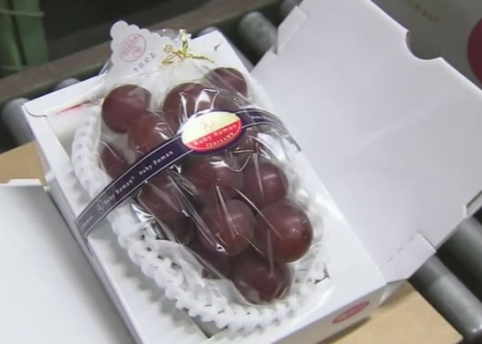 Un ciorchine de struguri perfecti , vandut la o licitatie in Japonia pentru o suma record