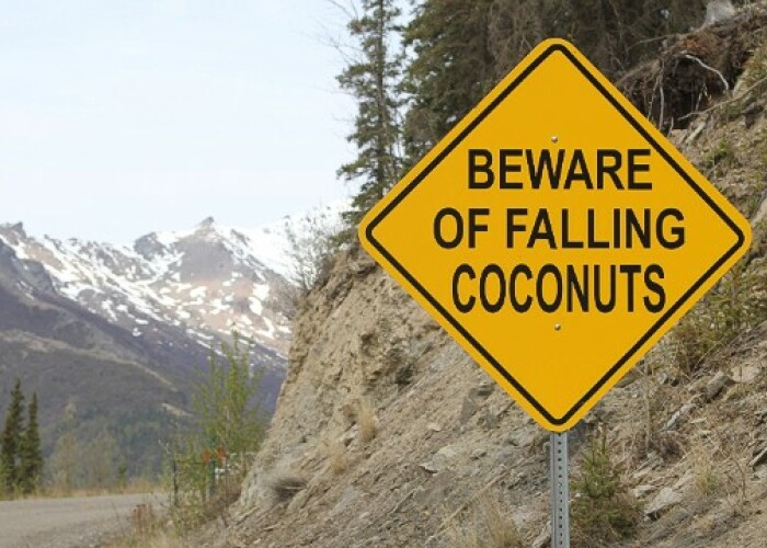 Atentie la nucile de cocos cazatoare: Acesta este drumul cu cele mai neobisnuite semne de circulatie! FOTO