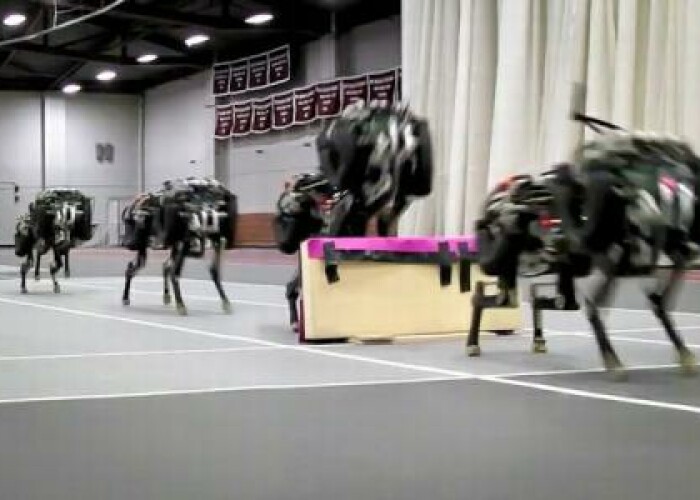 Alearga ca un maratonist si sare singur peste obstacole: Cum arata primul ghepard-robot construit vreodata VIDEO
