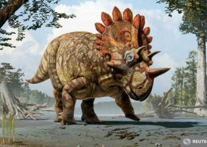 A fost descoperita o noua specie de dinozaur cu coarne: Cu cine seamana de fapt