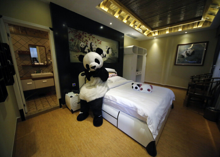 A fost inaugurat primul hotel din lume care are ca tematica ursul panda! VIDEO