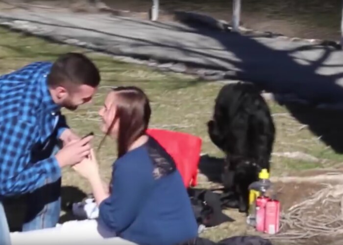 Si-a cerut in casatorie iubita iar aceasta i-a spus Da ! Ce si-a dat seama in clipa urmatoare