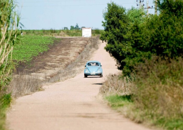 Oferta fabuloasa primita de presedintele Uruguayului de la un seic, pentru Volkswagen-ul Beetle pe care il detine! FOTO