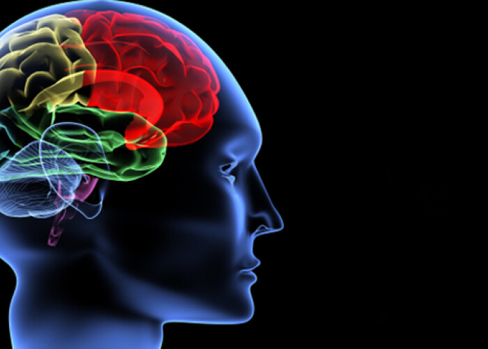 5 hobbiuri care te ajuta sa devii mai inteligent