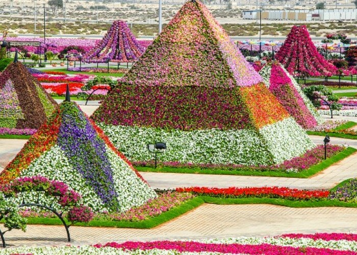Pinguini si zapada: 6 lucuri care pe care nu te-ai astepta sa le gasesti in desert: FOTO