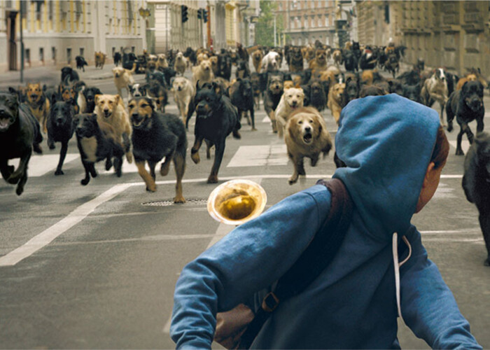 Proiectie pentru oameni si caini: White God , in inchiderea Les Films de Cannes à Bucarest! FOTO