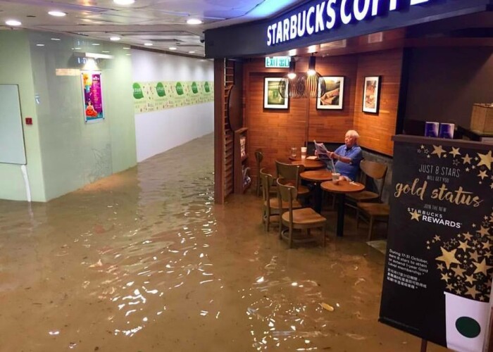 Povestea din spatele imaginii acesteia! Nu este Photoshop! Cum a fost facuta