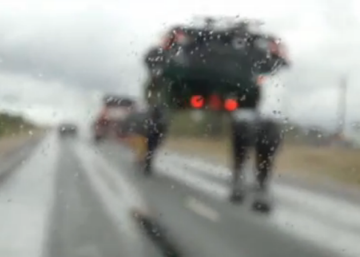 Se intampla in Rusia: Chestia asta circula pe sosea: Nu stim exact ce este: VIDEO