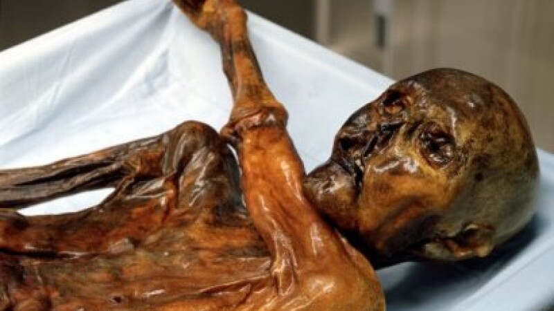 mumia lui Otzi