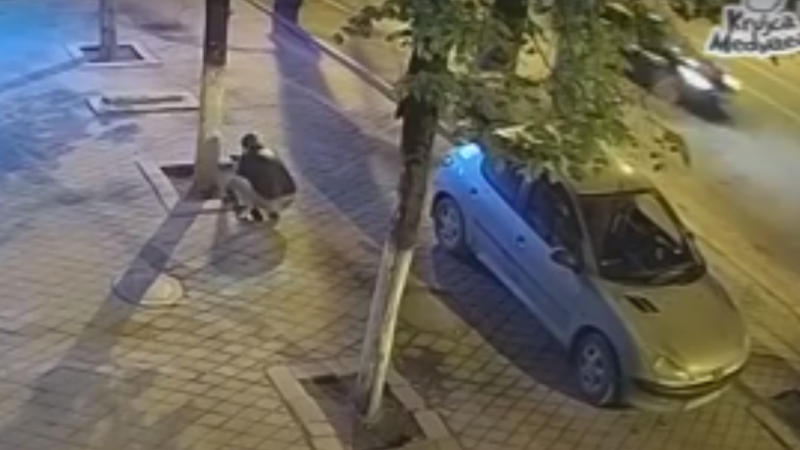 pavaj moldova