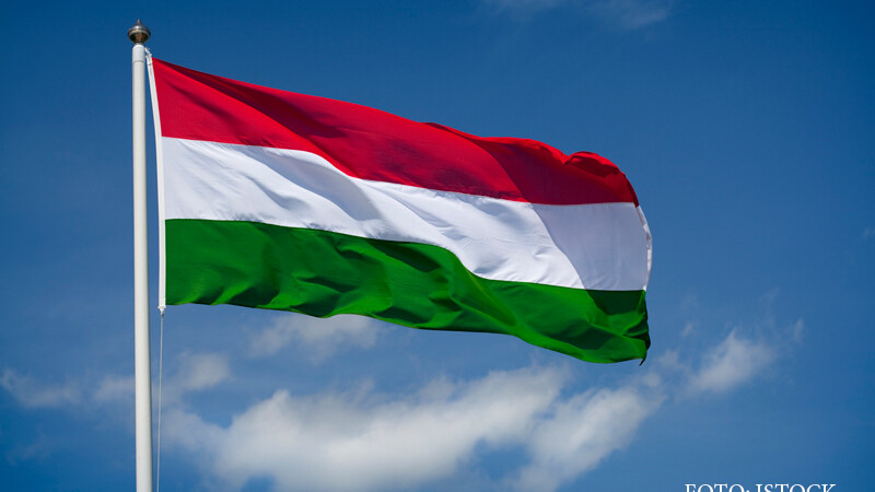 steag Ungaria