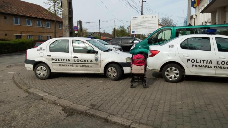 politie timisoara