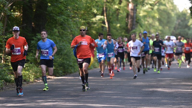 Semimaratonul și crosul Băneasa Forest Run