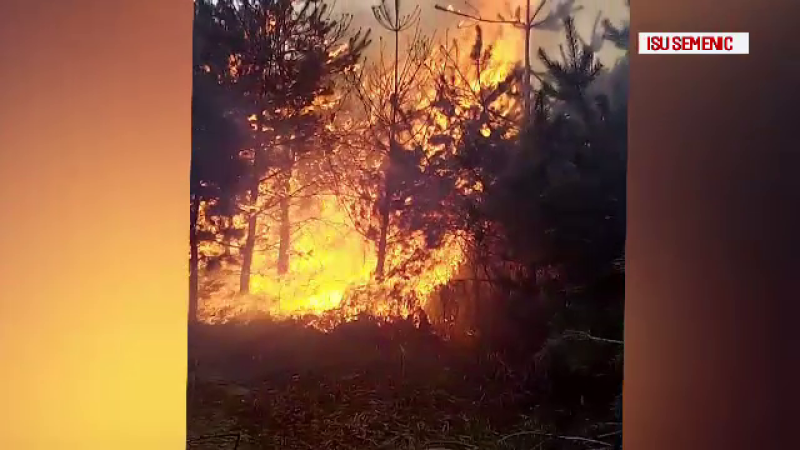 Dezastrul provocat de un incendiu în Caraș-Severin