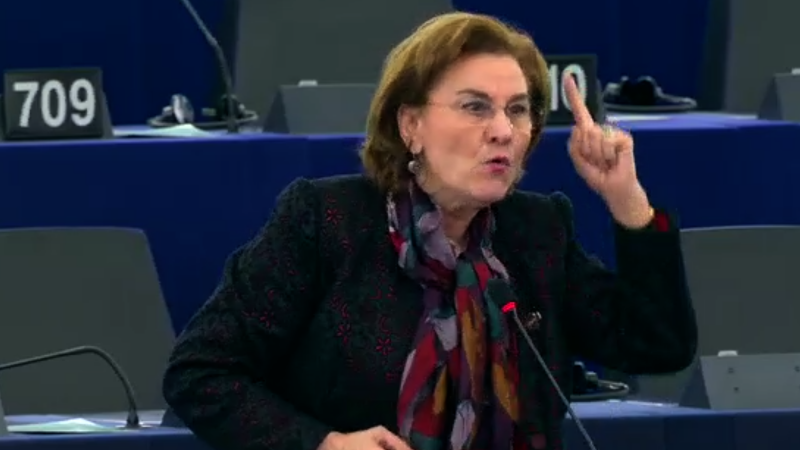 Maria Grapini in Parlamentul European