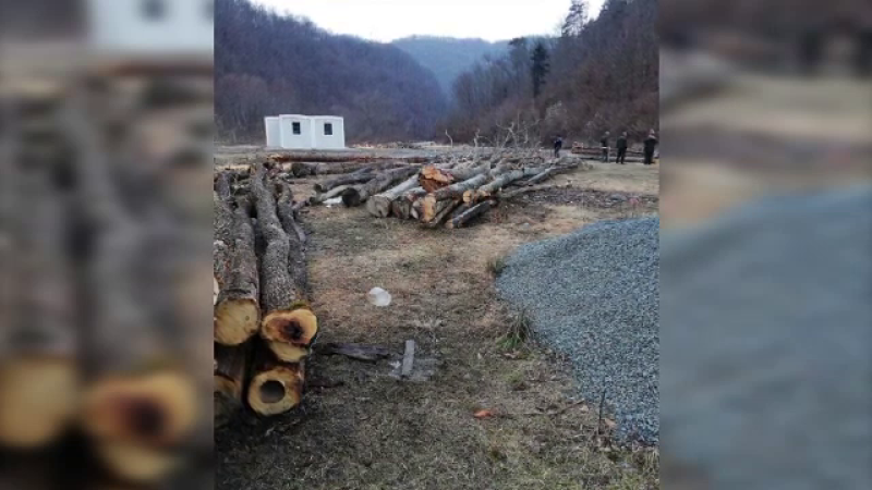 Doi bărbați au defișat o bucată de pădure
