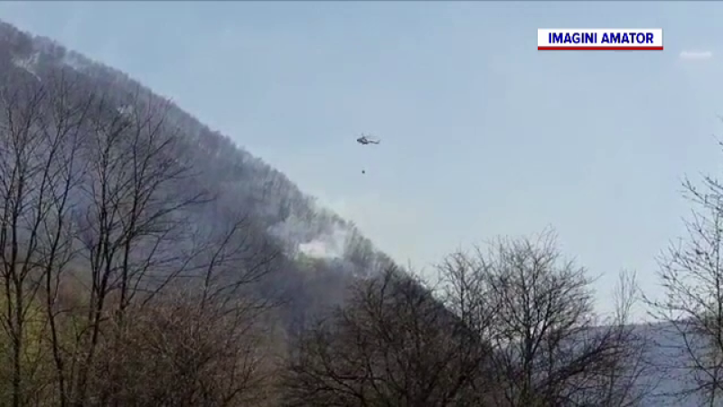 Incendii de pădure și vegetație, în Prahova și Bacău. Elicopter MAI, trimis în ajutorul pompierilor