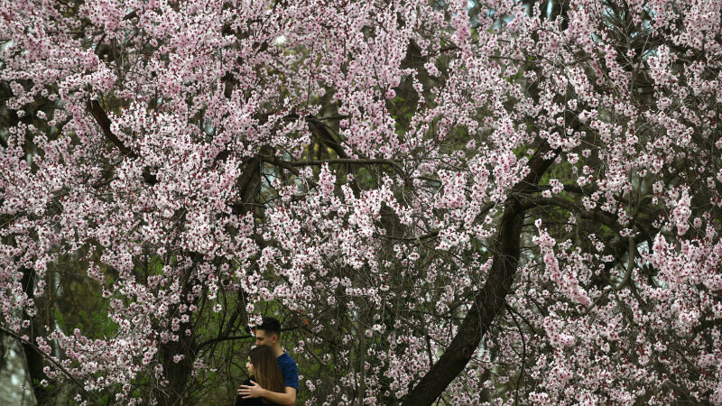 Parcul Regele Mihai I al României, primăvara