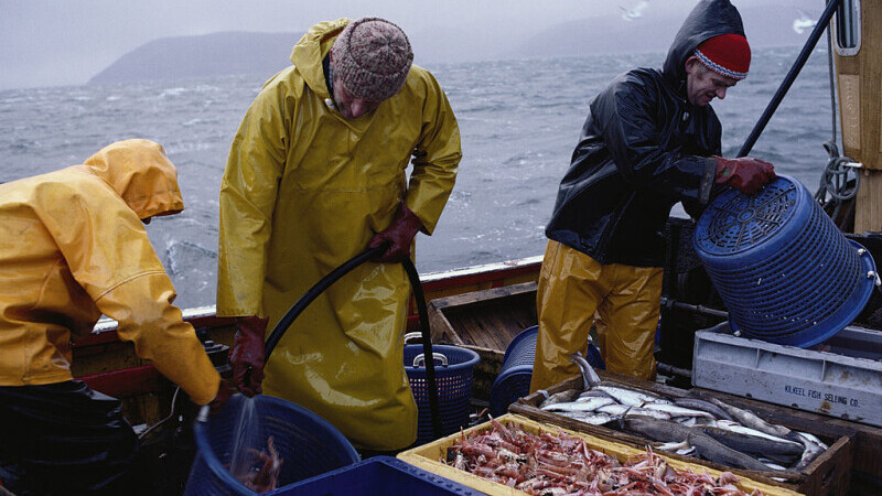 Pescarii francezi au blocat camioanele cu pește din Anglia. ”Vreți să vă păstrați apele? Atunci păstrați-vă și peștele”
