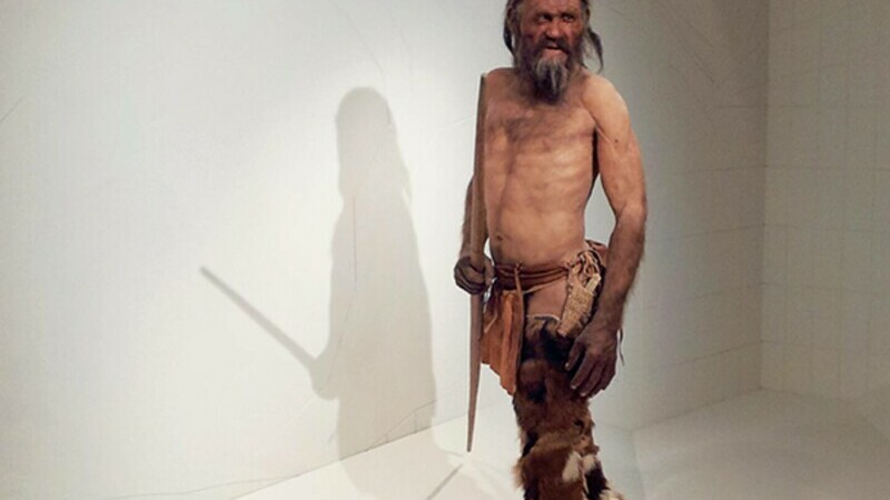 otzi