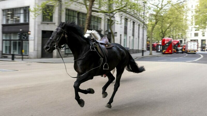 cai liberi londra