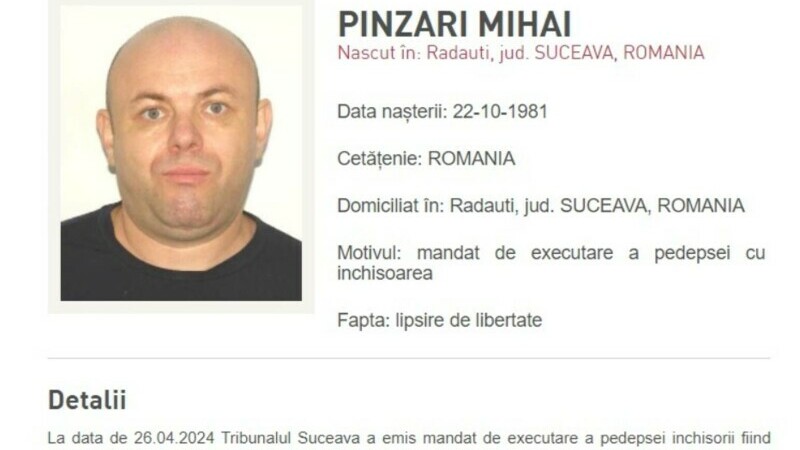 pinzari mihai