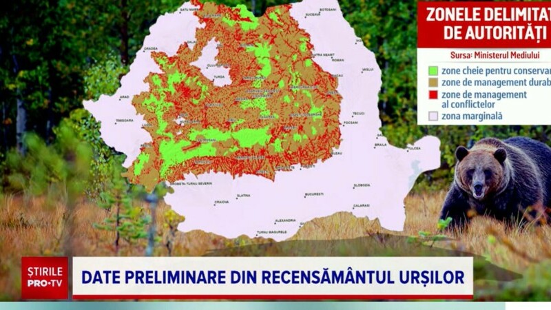 Recensamantul ursilor din Romania