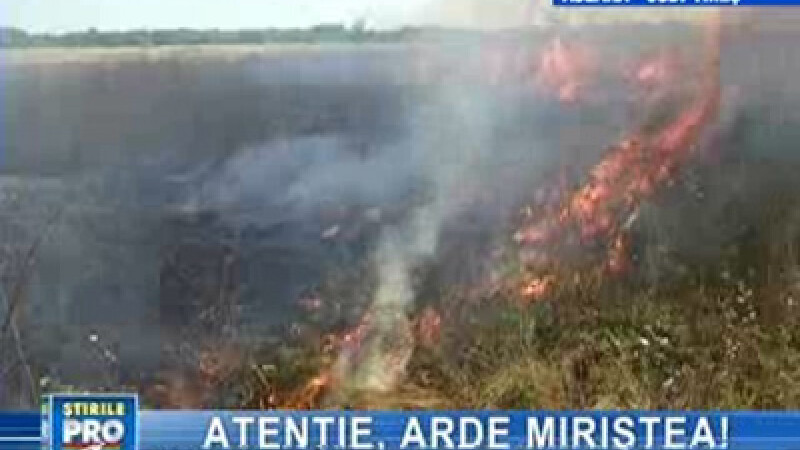 Hectare de vegetaţie uscată în flăcări!