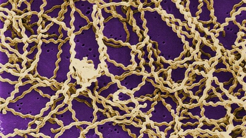 Judetele care au suferit de pe urma inundatiilor sunt lovite de epidemii