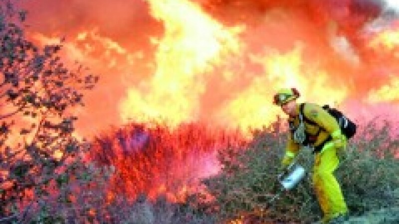 Zeci de hectare de miriste au fost devastate de un incendiu de proportii