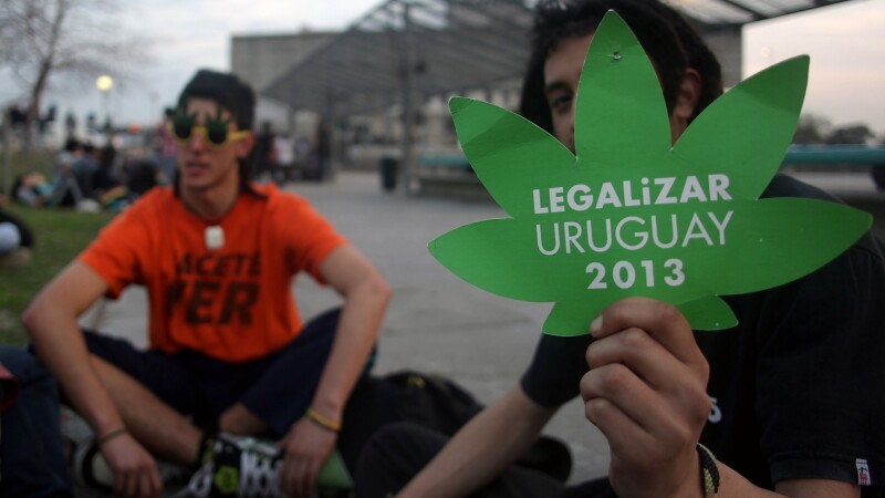 Uruguay marijuana