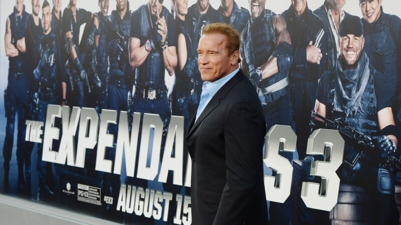 Arnold Schwarzenegger in Expendables 3