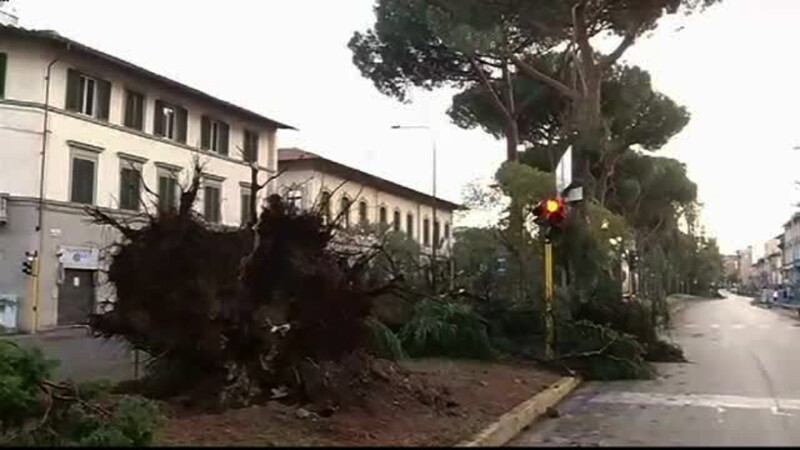 furtuna in Florenta