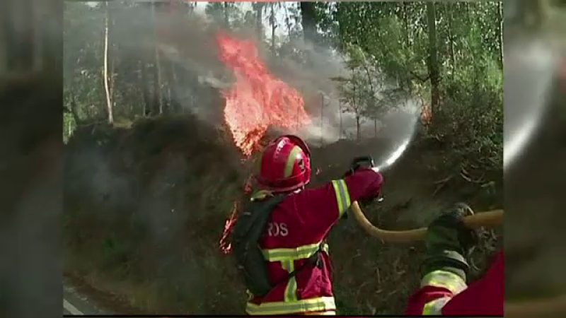 incendii Portugalia