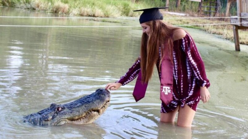 aligator, studenta, texas,