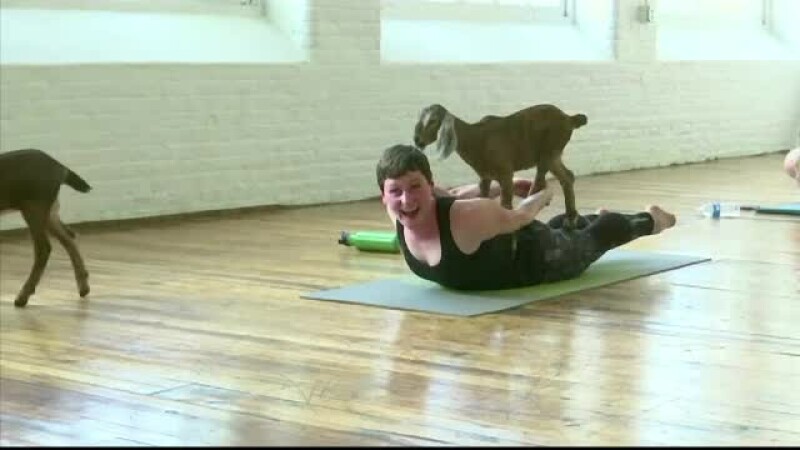 yoga capre