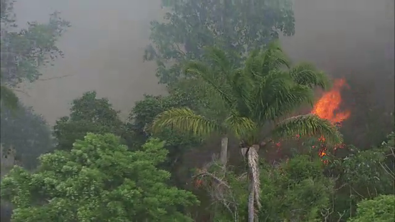Incendiile fac ravagii în Amazon. Norul de fum se vede din spațiu
