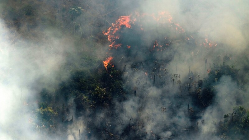 incendii in padurea amazoniana