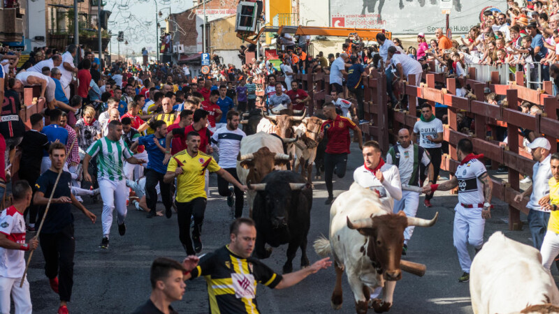 A murit în timpul unui festival. Ce i-a adus sfârșitul unui bărbat de 62 de ani