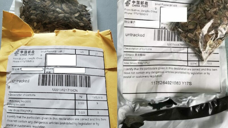 Misterul semințelor trimise din China americanilor a fost rezolvat. Ce conțineau de fapt pachetele
