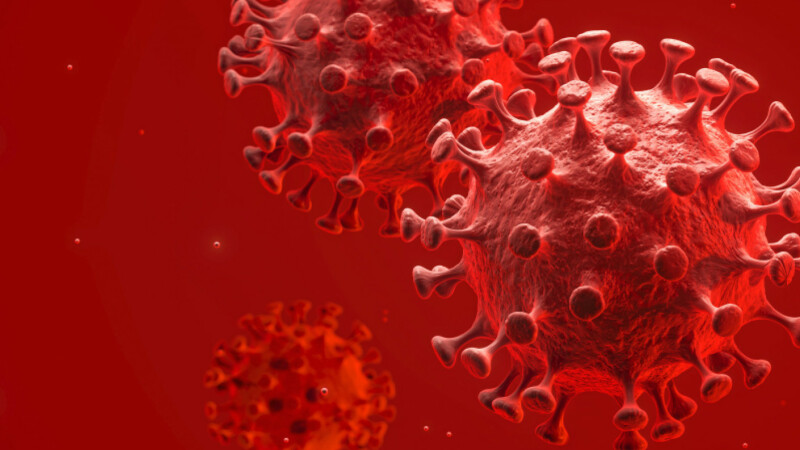 Cum atacă inima noul coronavirus. Oamenii de știință sunt bulversați: