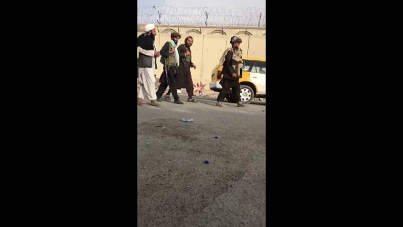 talibani