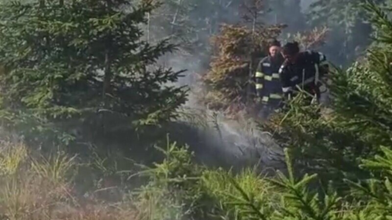 Incendiu violent în apropiere de Băile Olănești. Pompierii nu au putut interveni decât spre dimineață