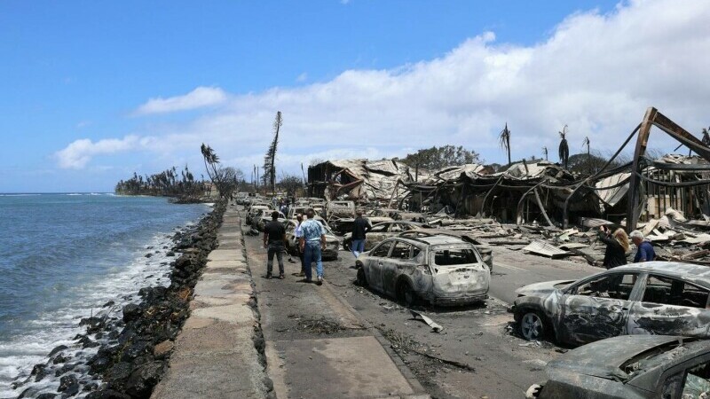 hawaii incendiu vegetatie