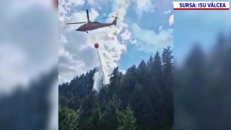 Incendiu de pădure în masivul Buila din Vâlcea. Echipele de intervenție au urcat patru ore ca să ajungă la focare