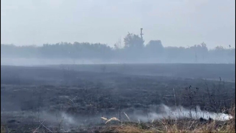 incendiu timisoara